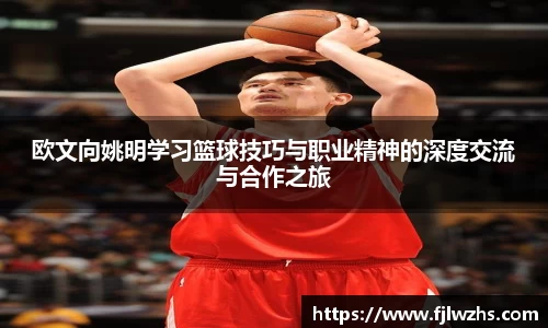 mk体育官网